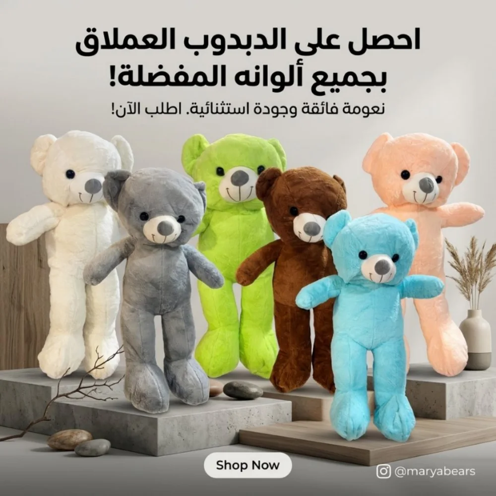 دب 80 سم